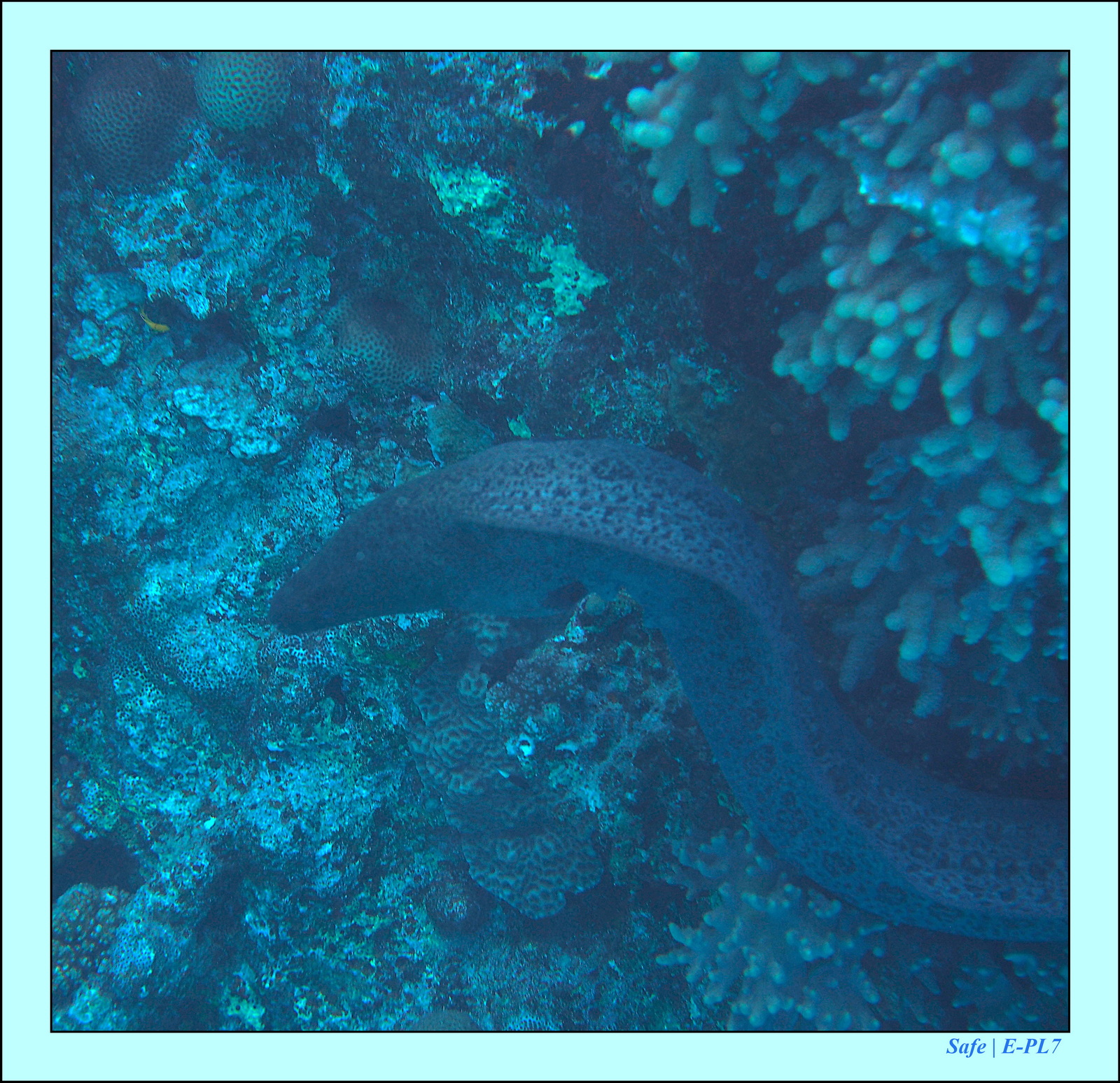 Hurghada - Aout 2021 - 012